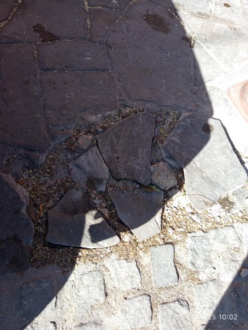 Φωτογραφία 5